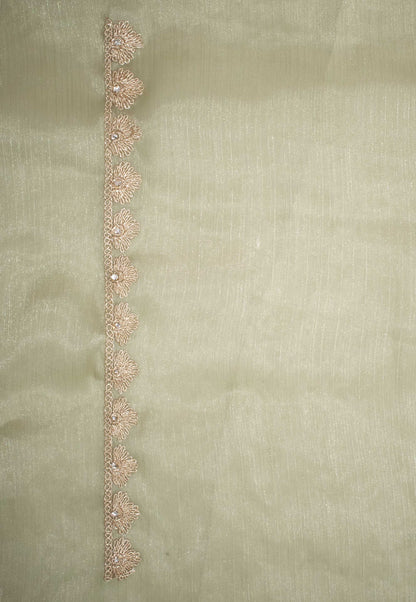 Pastel Green Organza Embroidered Saree