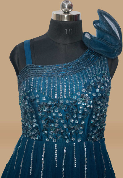 Embroidered Net Flared gown in Blue